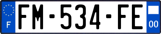 FM-534-FE