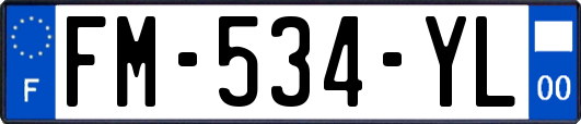 FM-534-YL