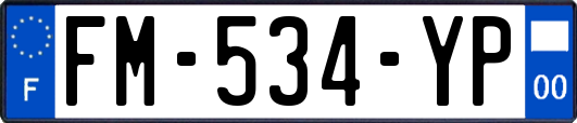 FM-534-YP