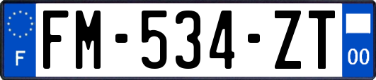 FM-534-ZT