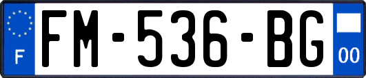 FM-536-BG