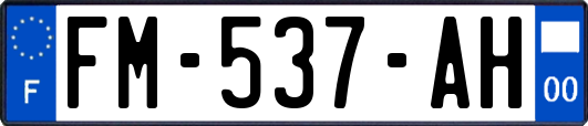 FM-537-AH