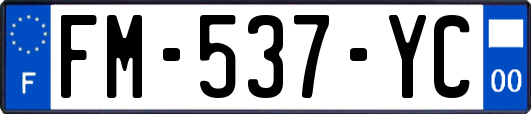 FM-537-YC