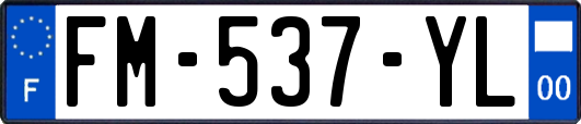 FM-537-YL