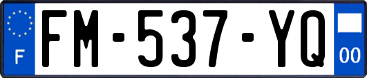 FM-537-YQ