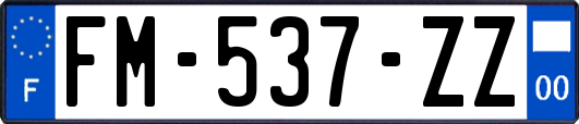 FM-537-ZZ