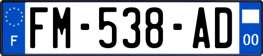 FM-538-AD