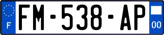 FM-538-AP