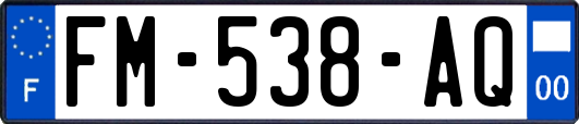 FM-538-AQ