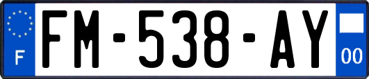 FM-538-AY