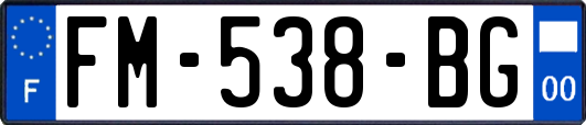 FM-538-BG