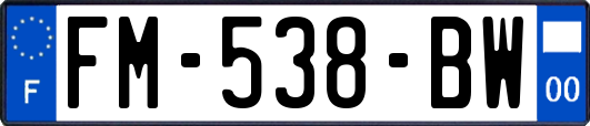 FM-538-BW