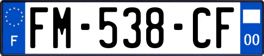 FM-538-CF