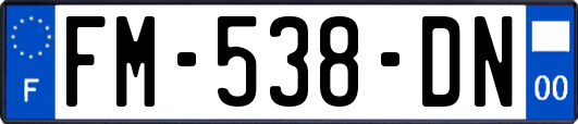 FM-538-DN