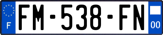 FM-538-FN