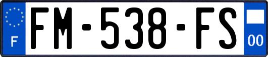 FM-538-FS