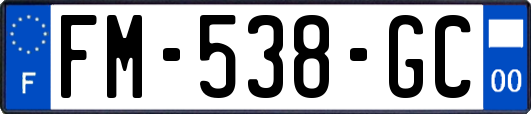 FM-538-GC