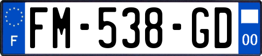 FM-538-GD