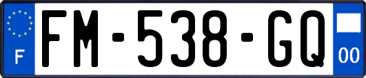 FM-538-GQ