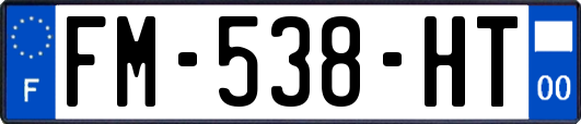 FM-538-HT