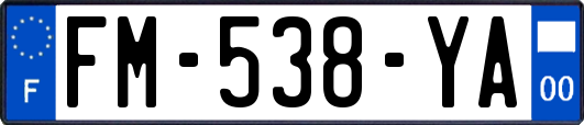 FM-538-YA
