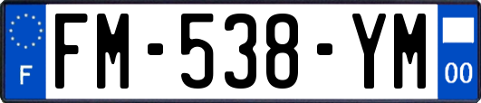 FM-538-YM