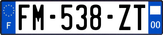 FM-538-ZT