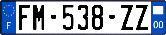 FM-538-ZZ