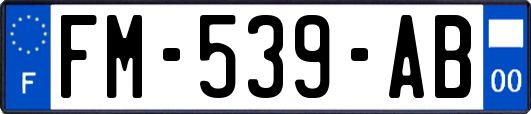 FM-539-AB