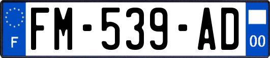 FM-539-AD