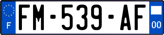 FM-539-AF