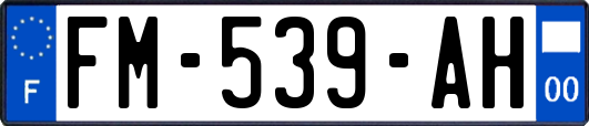 FM-539-AH