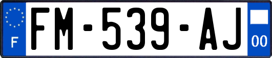 FM-539-AJ