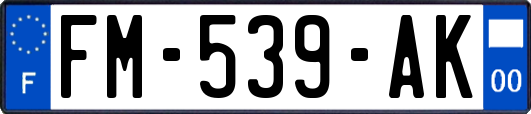 FM-539-AK