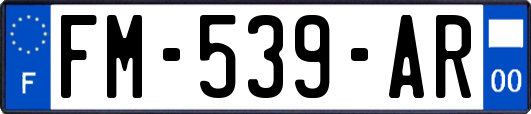 FM-539-AR