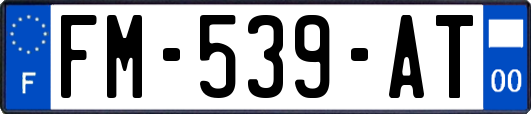 FM-539-AT