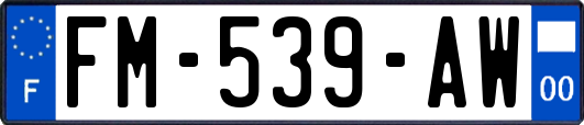 FM-539-AW