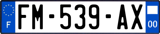 FM-539-AX
