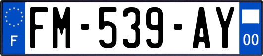 FM-539-AY