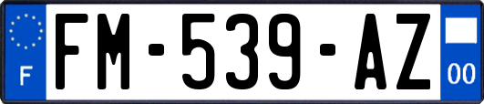 FM-539-AZ