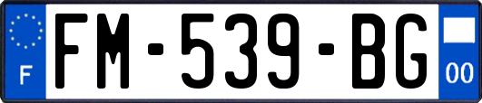 FM-539-BG