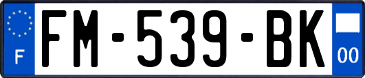 FM-539-BK