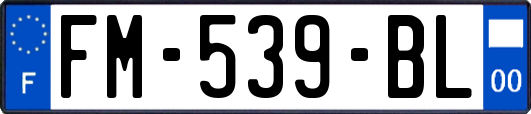 FM-539-BL