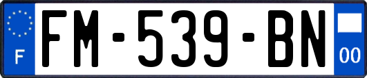FM-539-BN