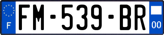 FM-539-BR