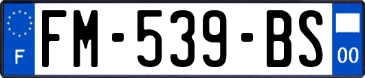 FM-539-BS