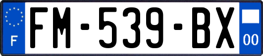 FM-539-BX