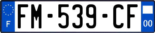 FM-539-CF