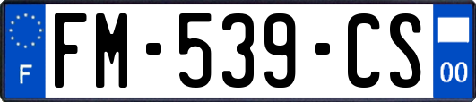 FM-539-CS