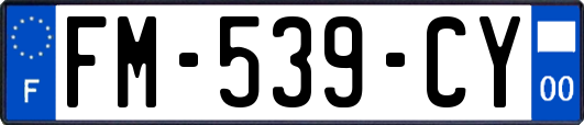 FM-539-CY